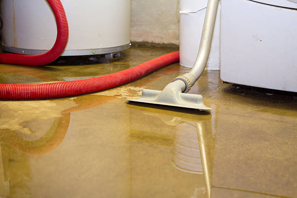 Water damage restoration experts in Lake City, IA