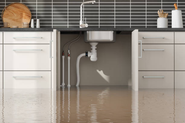 Best Local water damage restoration  in Lake City, IA